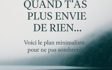 discipline minimaliste